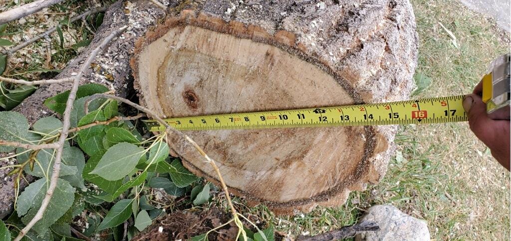 Wind Damage in Steamboat Springs, Colorado_3